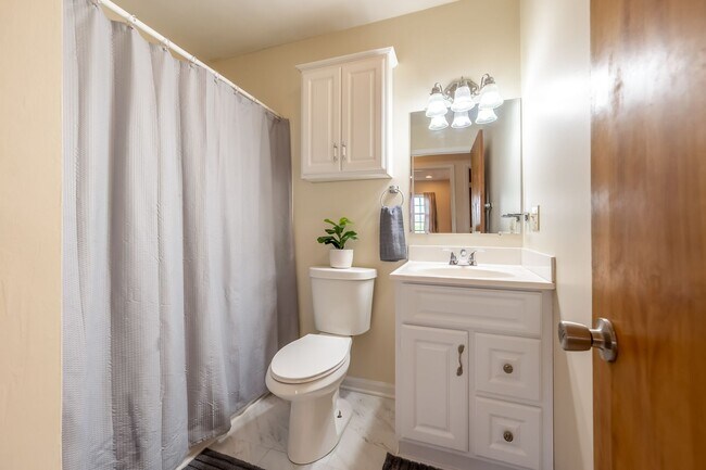 Building Photo - Spacious Ranch Close to Campus