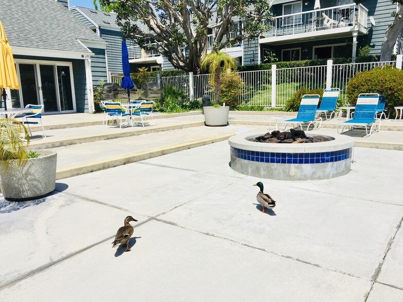 Donald and Daisy by the pool. - 6000 Bixby Village Dr