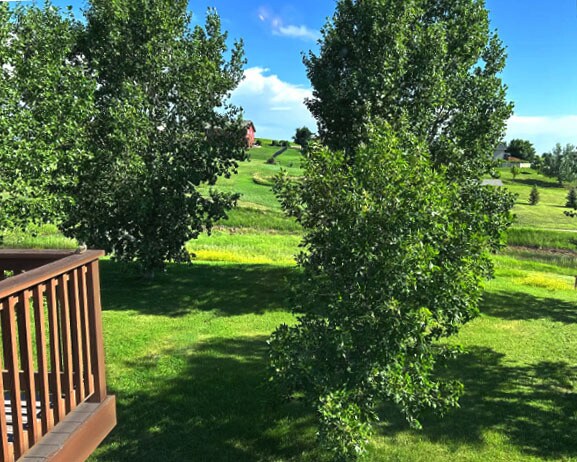 Building Photo - 2652 Morning Star Ct