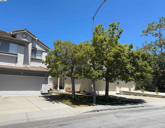 Primary Photo - 122 Lynx Ct