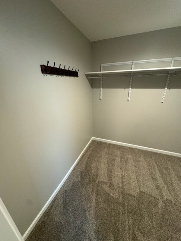 Building Photo - Brand-New 2 Bed / 1.5 Bath Townhome with Modern Finishes