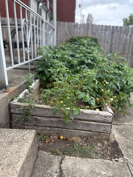 Grow your own food... - 1368 Westwood Ave