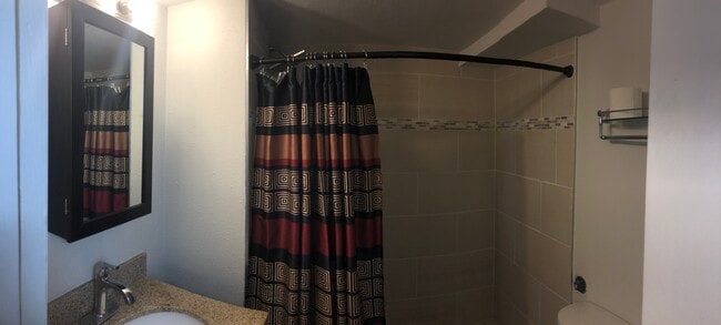 Basement Bathroom View Three - 677 Vrain St