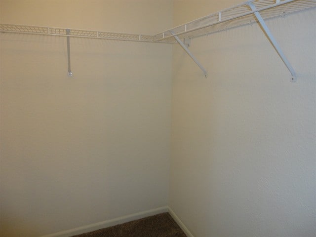 Building Photo - 5123 Milhouse Rd