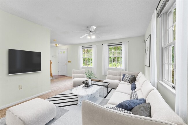 Primary Photo - 38 Haskell St