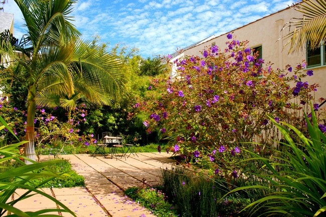 Courtyard - 827 12th St
