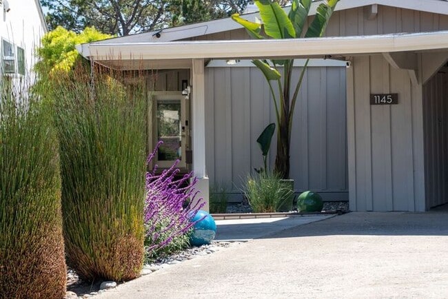 Building Photo - Hilltop Monterey Home