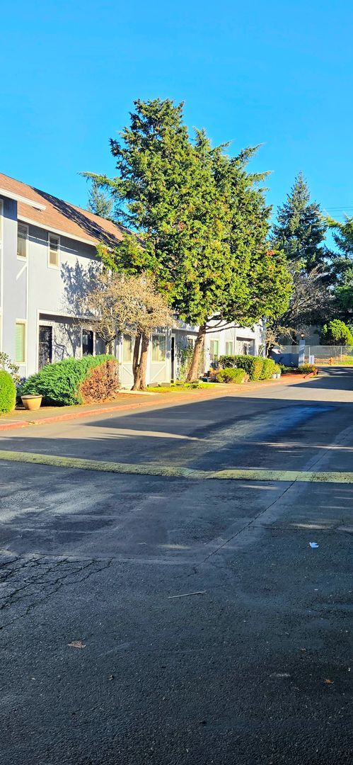 Building Photo - Special Offer! Only $2,399 – First Month 50% Off!