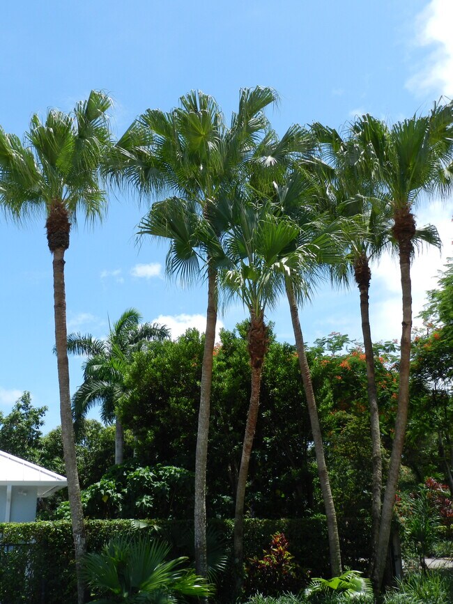 Building Photo - 9501 SW 69th Ct