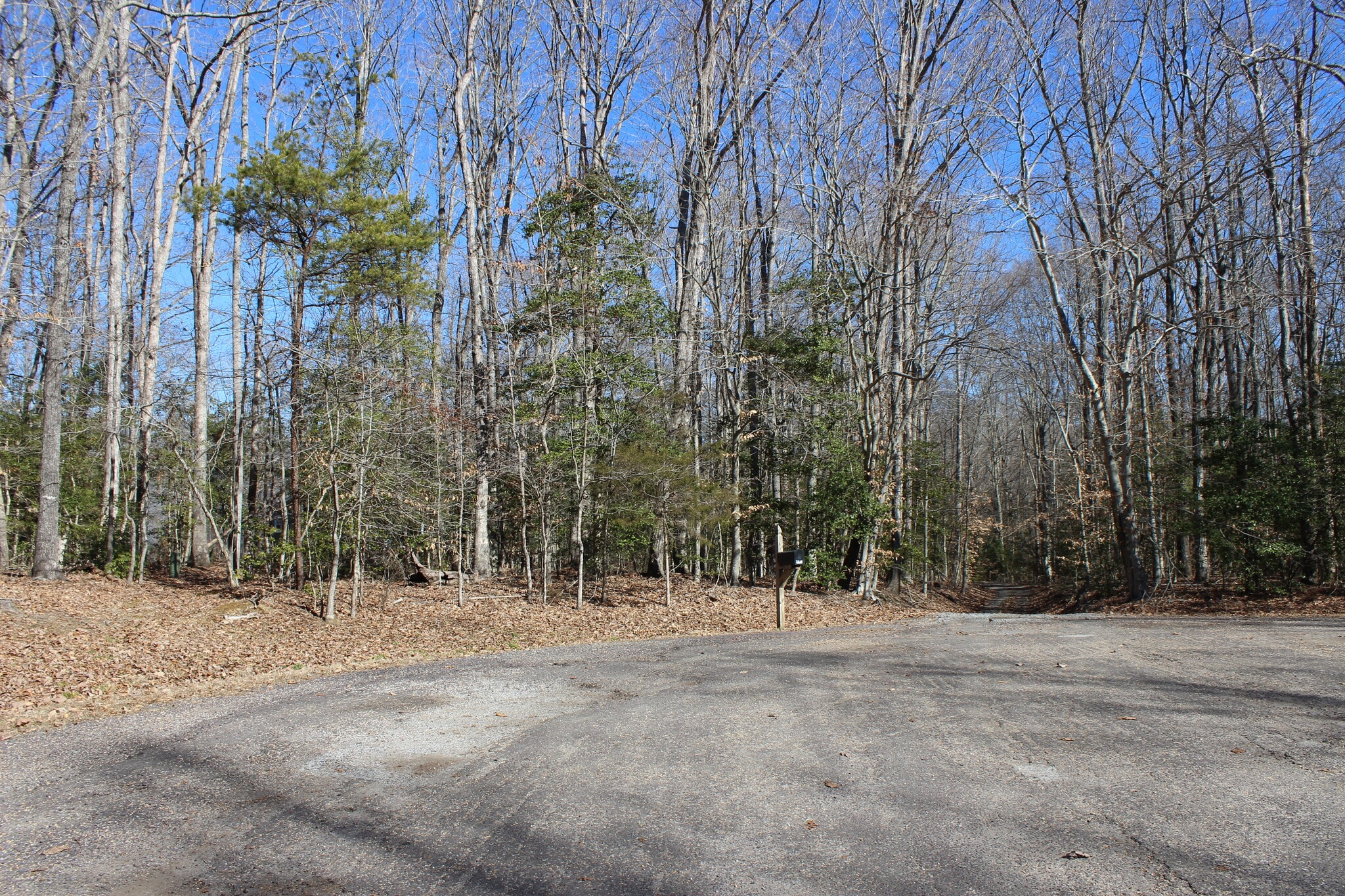 Building Photo - 9033 Rapidan Dr