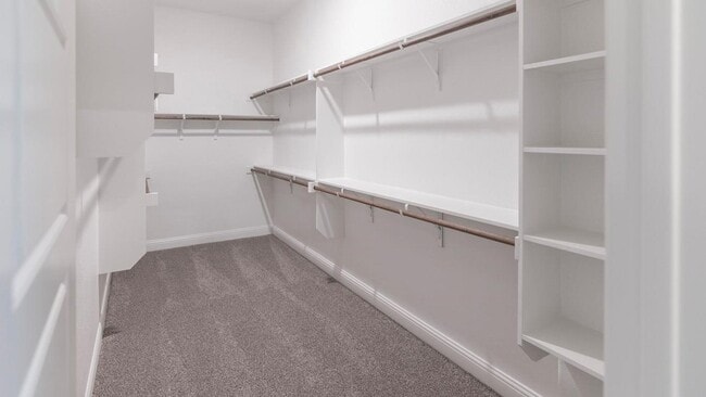 Building Photo - 3408 Cimarron River Dr