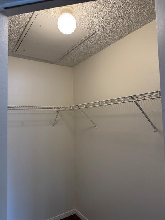 Building Photo - 2516 Grassy Point Dr