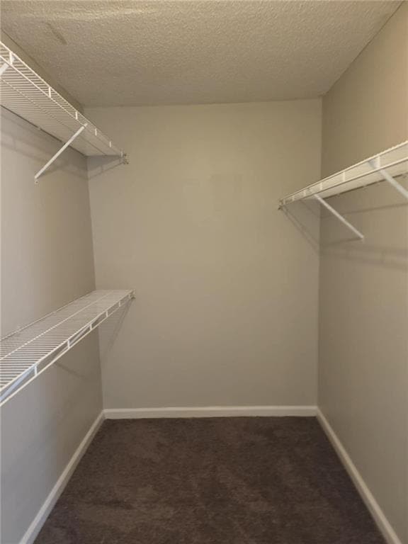 Building Photo - 4365 White Pines Ct