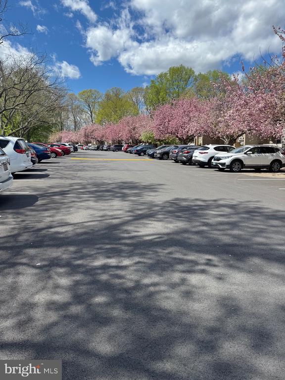 Building Photo - 7553 Spring Lake Dr