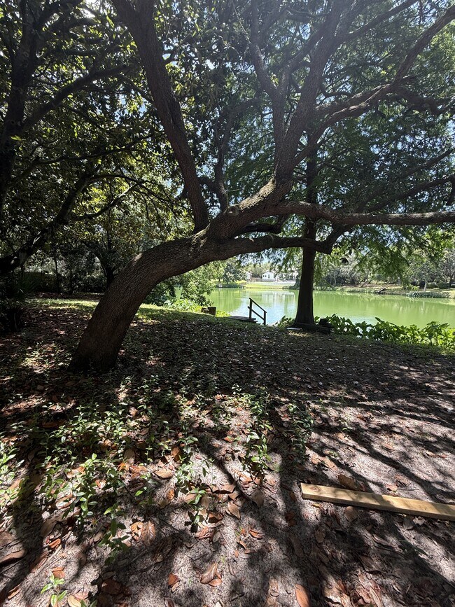 Building Photo - 504 Main St