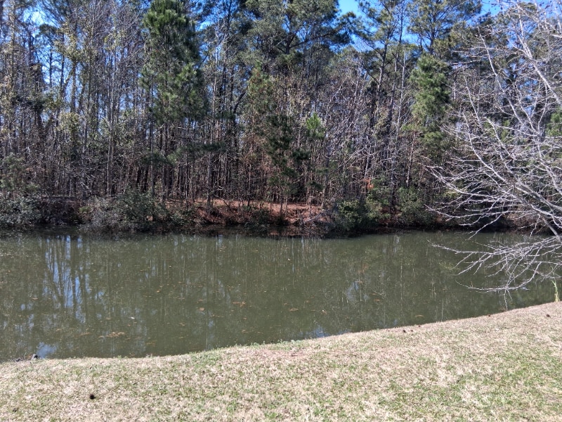 Building Photo - 5047 Wheeler Lake Rd