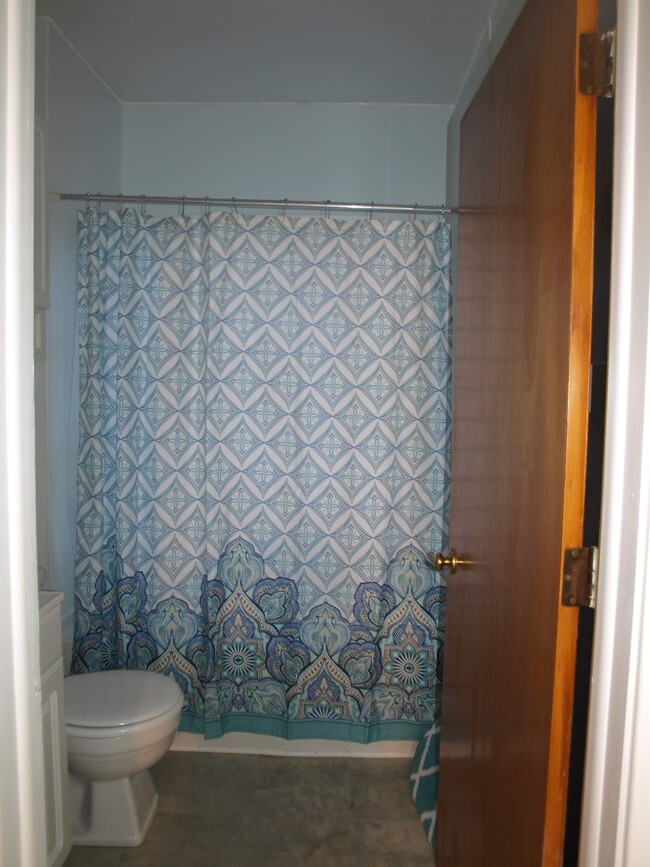 Bathroom - 711 N Chestnut St