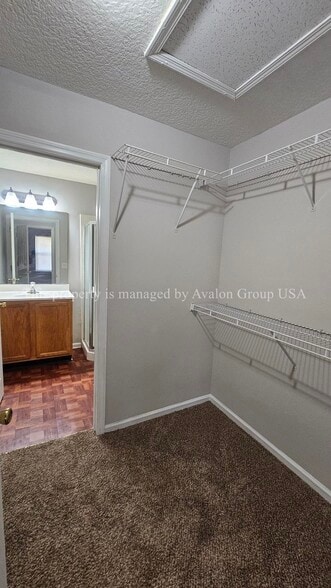 Building Photo - 4262 Polo Ct