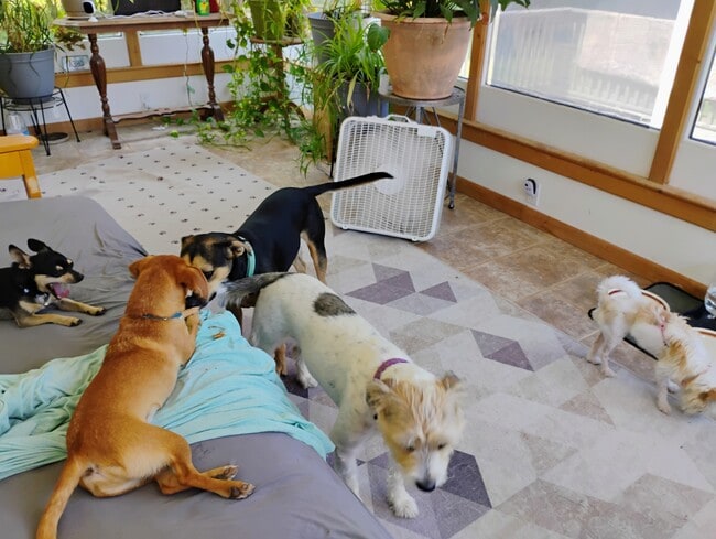 Building Photo - 116 Hidden Valley Dr