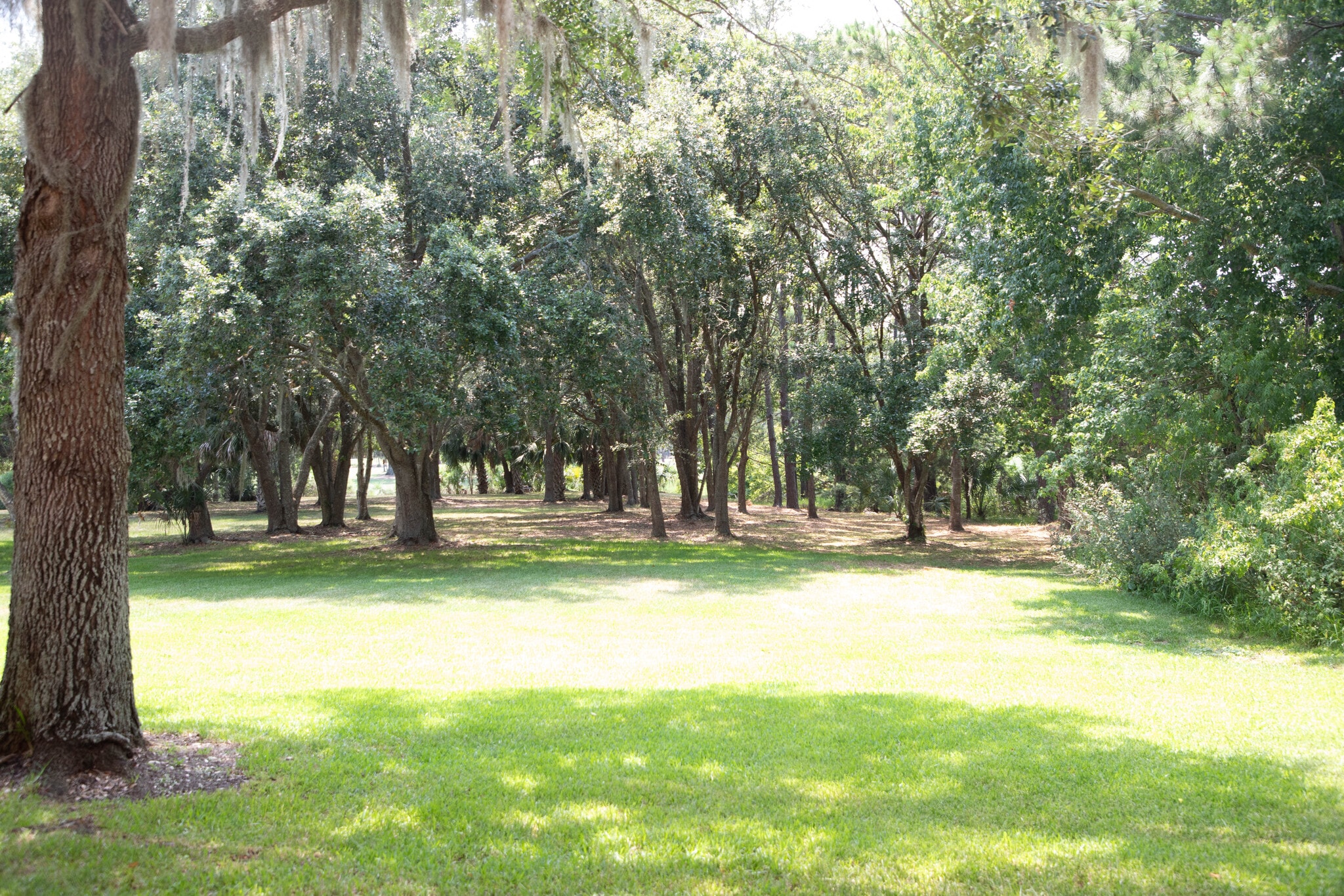 Building Photo - 140 Veracruz Dr