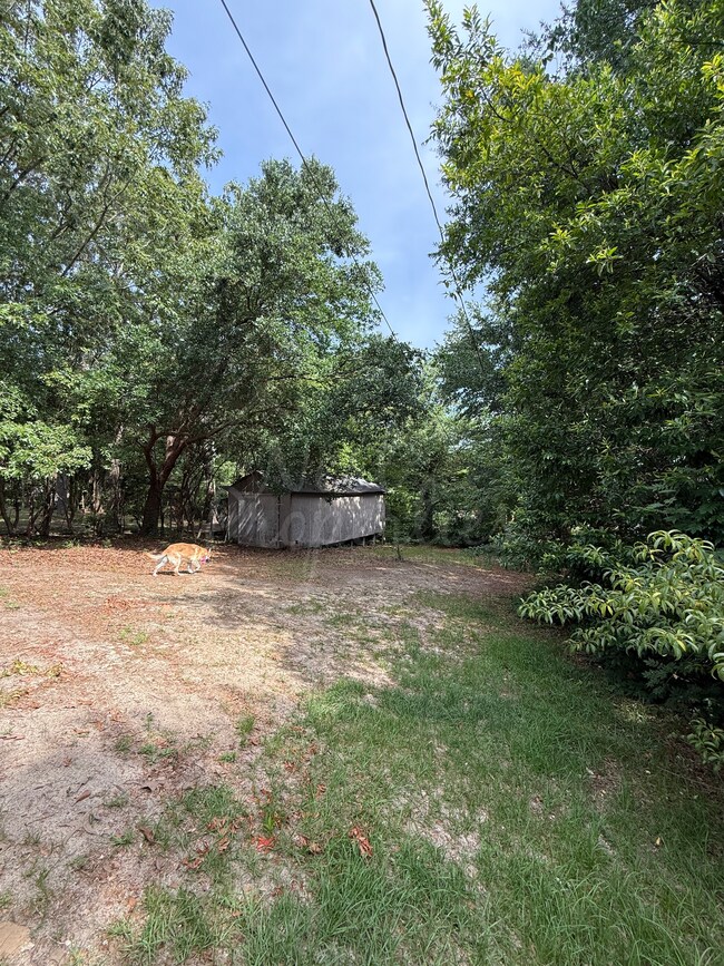 Building Photo - 3217 Quitman St