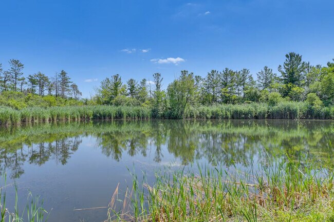 Building Photo - 7 Creekside Ln