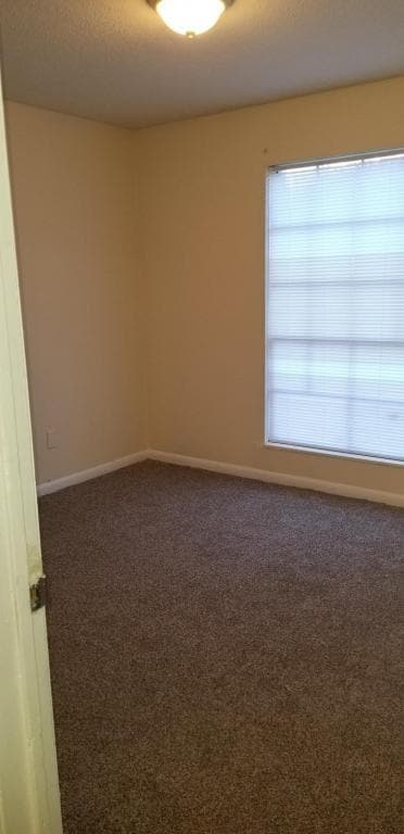 Building Photo - 764 81st Street South Apt. C