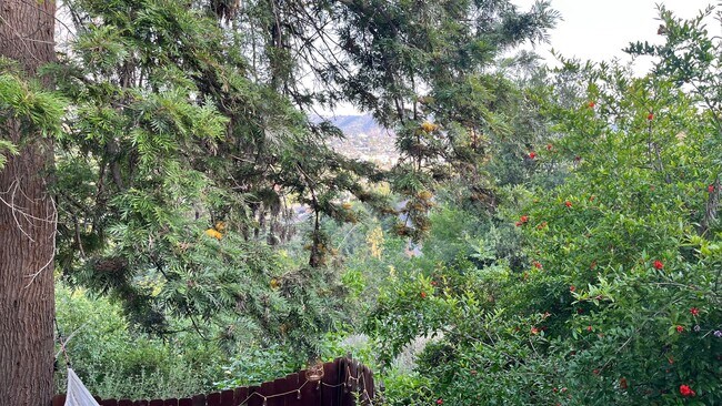 view to the south-Highland Park - 1472 Silverwood Dr