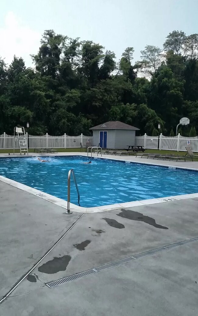 Adult pool - 2390 Mill Rd