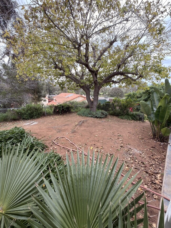 Building Photo - 2778 Mimika Pl