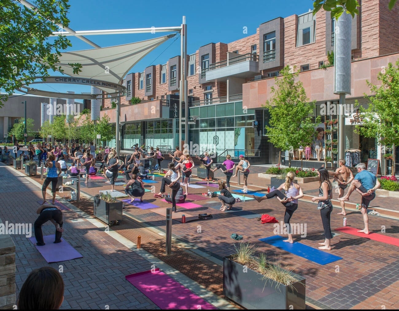 Building Photo - 22 Jackson St