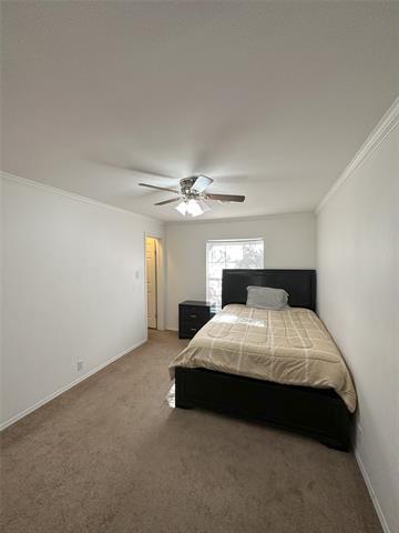 Building Photo - 5529-5531 Mesa Cir