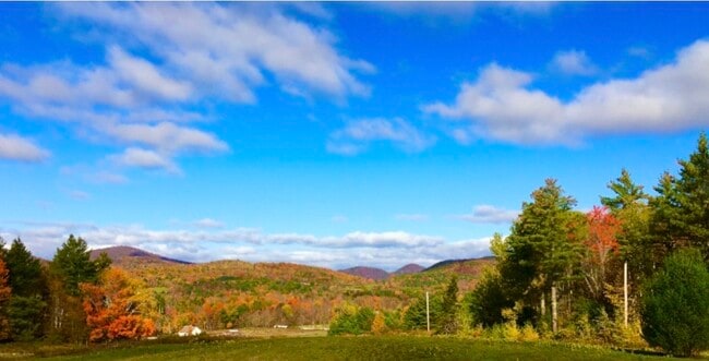 Building Photo - 178 Walnut Dr