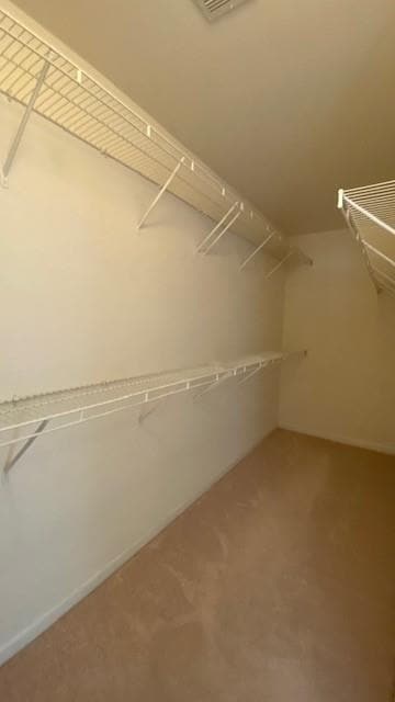 Building Photo - 360 Pintail Ct