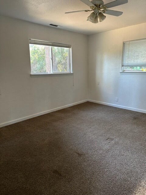 Primary bedroom with natural light and newer carpet - 11683 View Dr