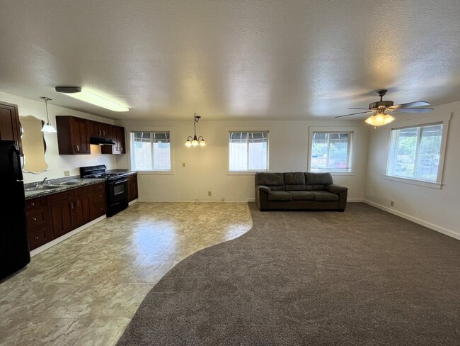 Building Photo - Large Cat-Friendly 1 Bedroom Apartment In ...