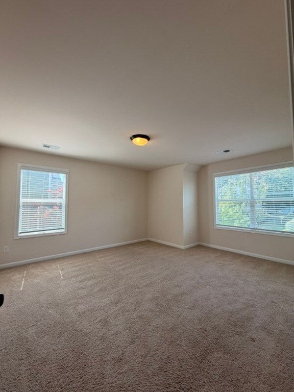 Building Photo - 213 Golden Fluke Dr