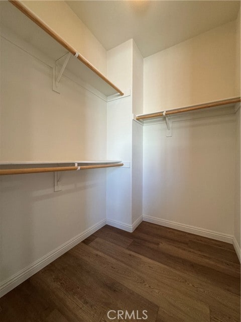 Building Photo - 14223 Symphony Ct