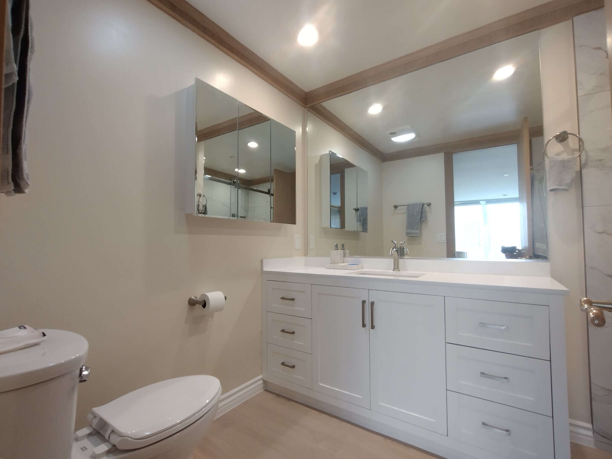 New master vanity, mirrors and toilet - 121 S Hope St