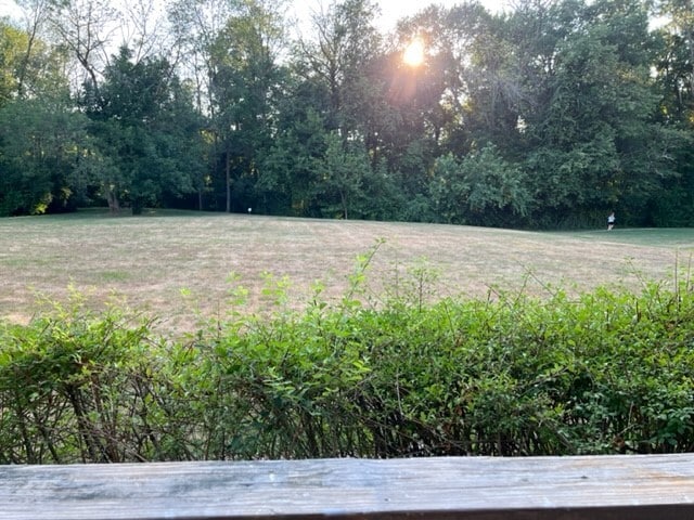 Backyard view - 1111 Aspen Dr