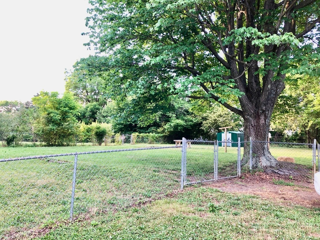 Large Fenced Backyard - 2205 Mayflower Dr
