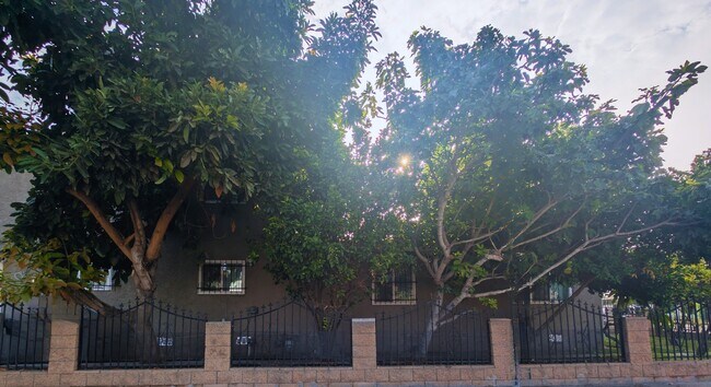 Building Photo - 803 E 89th St