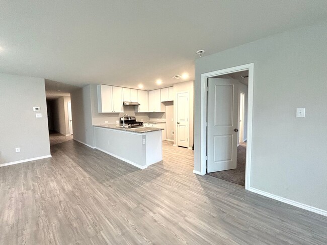 Building Photo - Beautiful 4 Bedroom Home in Schertz!