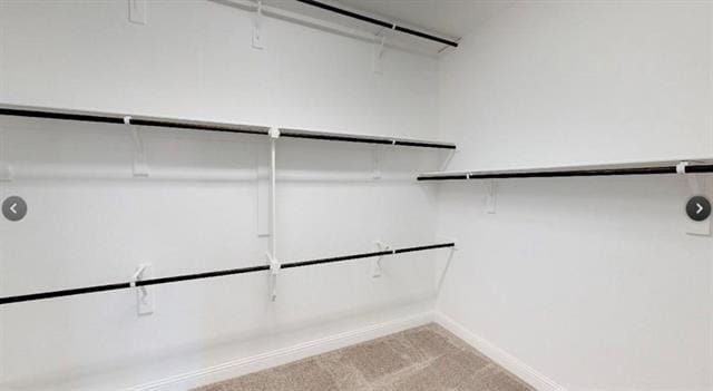 Building Photo - 4849 Timber Trl