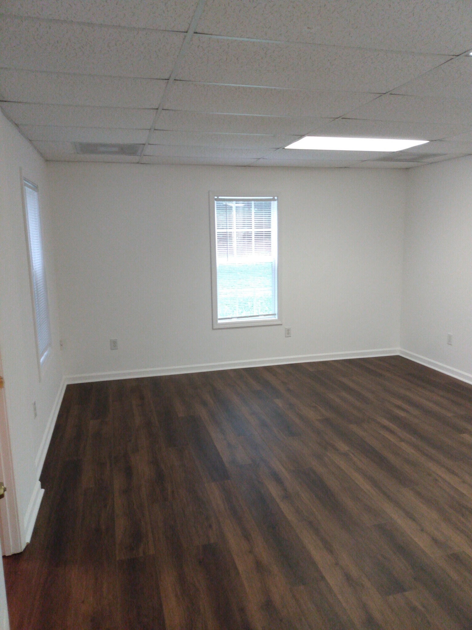 Living room, looking into side yard - 1346 Center Point Rd