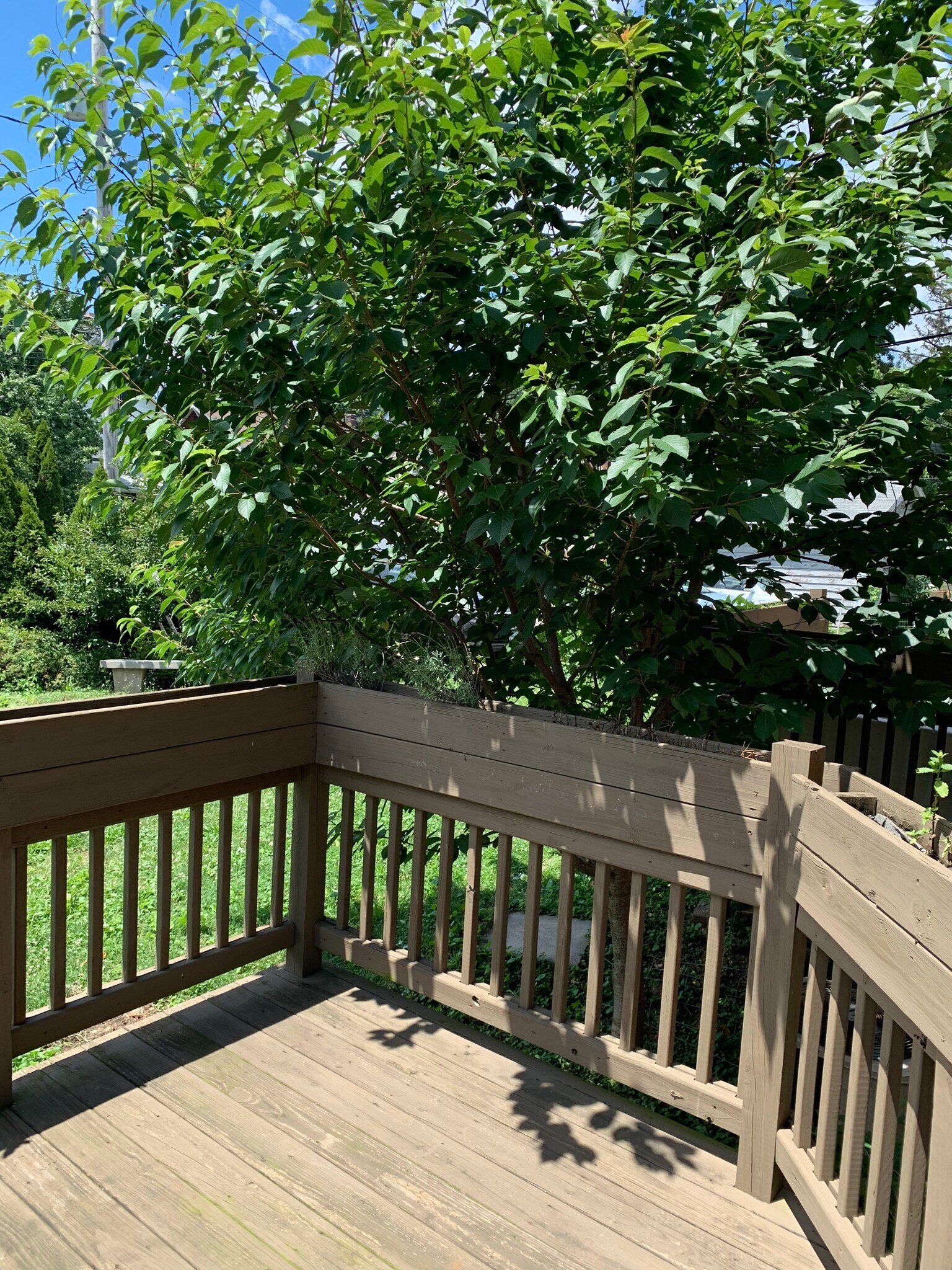 Deck in back - 2569 Summit St