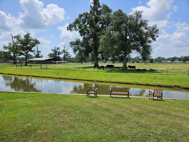 Building Photo - 43283 Pond View Dr