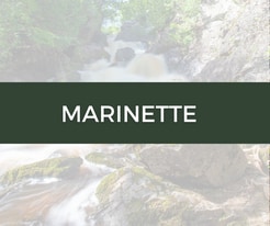Building Photo - Shipyard Estates
