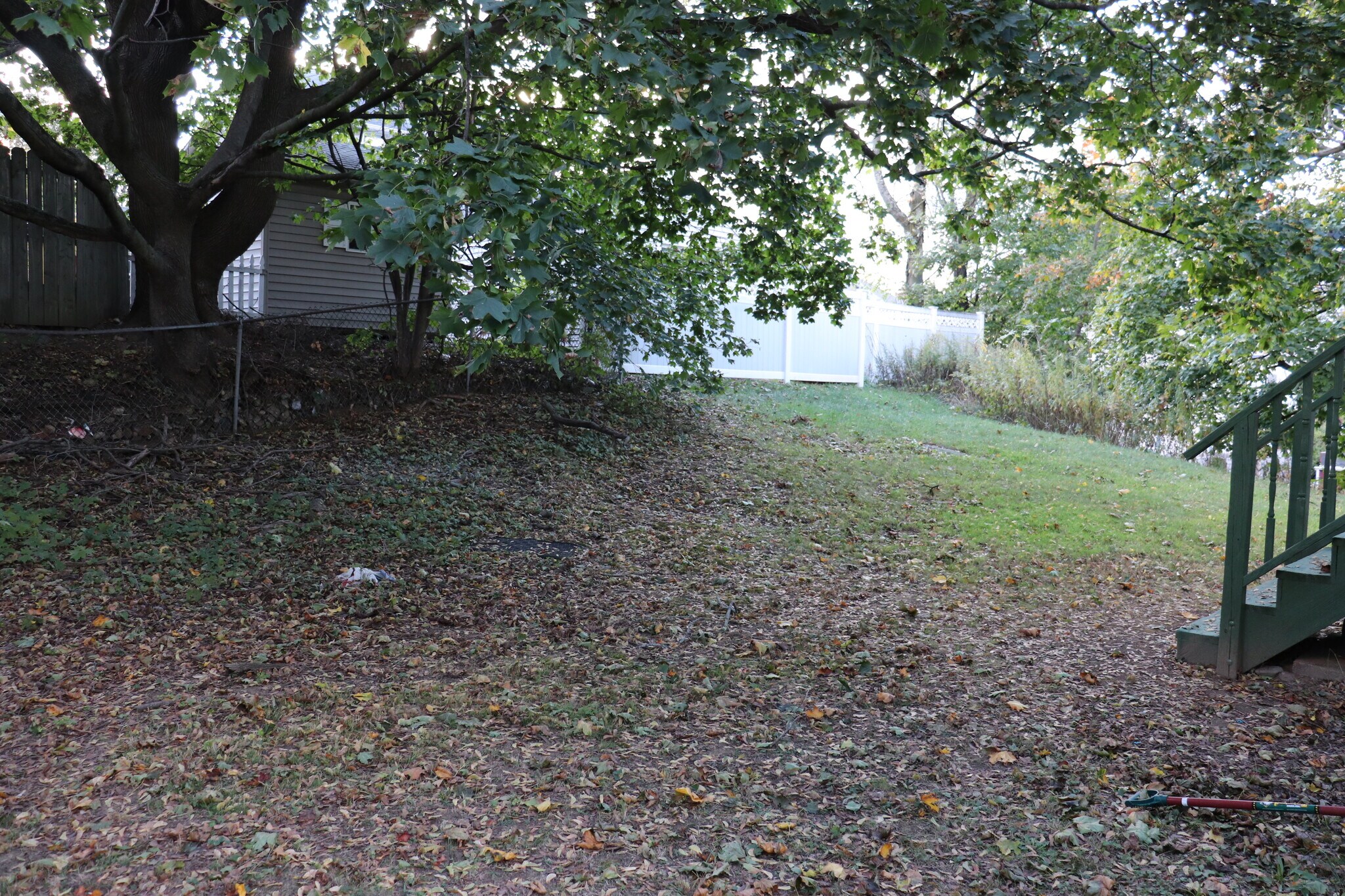 Backyard - 30 Riverside Dr