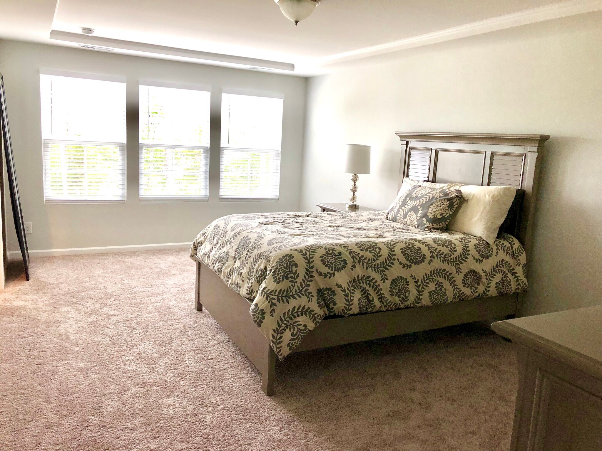 Master bedroom - 705 crimson sage lane